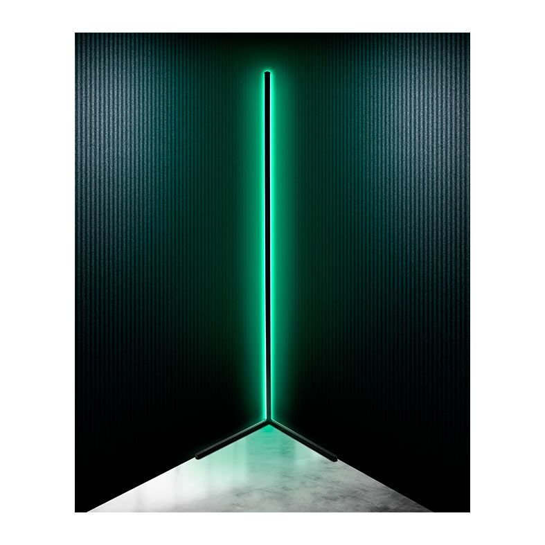 zns-zctla-bl013